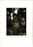 EP - Ewidencja parkowa, skan nr 49