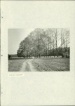 EP - Ewidencja parkowa, skan nr 49
