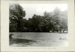Ewidencja parkowa, skan nr 16