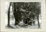 Ewidencja parkowa, skan nr 17