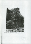 Ewidencja parkowa, skan nr 11