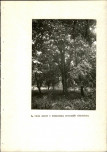 EP - Ewidencja parkowa, skan nr 53