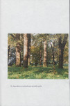 EP - Ewidencja parkowa, skan nr 43