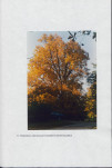 EP - Ewidencja parkowa, skan nr 44