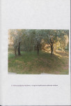 EP - Ewidencja parkowa, skan nr 48