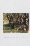 EP - Ewidencja parkowa, skan nr 49