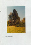 EP - Ewidencja parkowa, skan nr 56