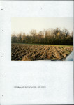 EP - Ewidencja parkowa, skan nr 33