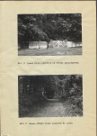 EP - Ewidencja parkowa, skan nr 32