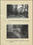 EP - Ewidencja parkowa, skan nr 36
