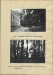 EP - Ewidencja parkowa, skan nr 37