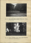 EP - Ewidencja parkowa, skan nr 39