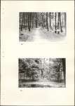 EP - Ewidencja parkowa, skan nr 26