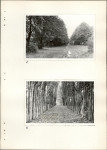 Ewidencja parkowa, skan nr 41
