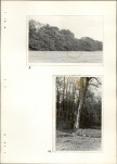 Ewidencja parkowa, skan nr 42