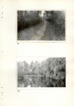 Ewidencja parkowa, skan nr 43