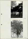 Ewidencja parkowa, skan nr 29