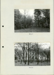 Ewidencja parkowa, skan nr 30