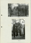 Ewidencja parkowa, skan nr 31