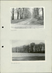 Ewidencja parkowa, skan nr 49