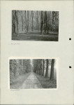 Ewidencja parkowa, skan nr 50