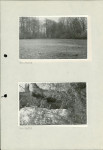 Ewidencja parkowa, skan nr 51
