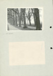 Ewidencja parkowa, skan nr 52