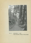Ewidencja parkowa, skan nr 20