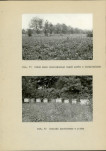 Ewidencja parkowa, skan nr 26