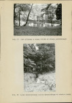 Ewidencja parkowa, skan nr 29