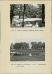 Ewidencja parkowa, skan nr 30