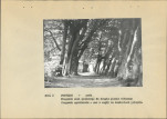 Ewidencja parkowa, skan nr 19