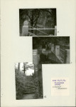 Ewidencja parkowa, skan nr 29