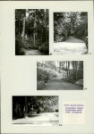 Ewidencja parkowa, skan nr 32