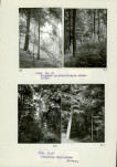 Ewidencja parkowa, skan nr 34