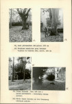 Ewidencja parkowa, skan nr 18