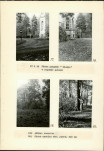 Ewidencja parkowa, skan nr 19