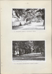 EP - Ewidencja parkowa, skan nr 27