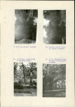 Ewidencja parkowa, skan nr 13
