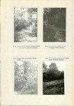 Ewidencja parkowa, skan nr 15