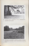 EP - Ewidencja parkowa, skan nr 48