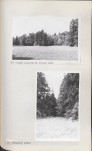 EP - Ewidencja parkowa, skan nr 50