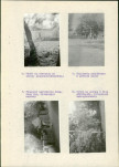 Ewidencja parkowa, skan nr 11