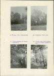 Ewidencja parkowa, skan nr 12