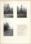 Ewidencja parkowa, skan nr 14