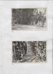 Ewidencja parkowa, skan nr 23