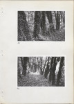 Ewidencja parkowa, skan nr 28