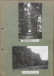 Ewidencja parkowa, skan nr 18