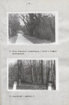 EP - Ewidencja parkowa, skan nr 34