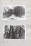 EP - Ewidencja parkowa, skan nr 37